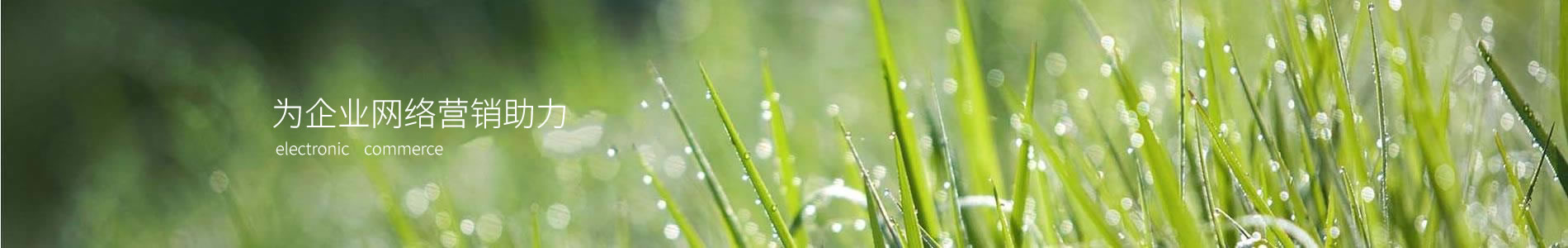ӱݻе豸޹˾
